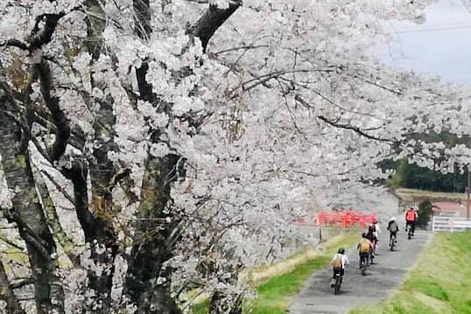 Hiroshima Country Cycling: Explore Rural Life 1 HR from City - Stop-by-Stop Route: Kakeyama, Doitaya, Herb Garden Lunch, and Quiet Oasa