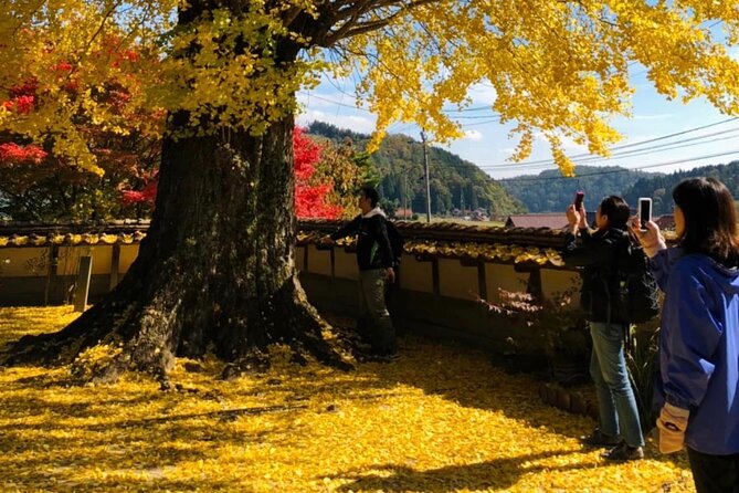 Hiroshima Country Cycling: Explore Rural Life 1 HR from City - What You’ll Learn About Rural Life (Without Feeling Like Homework)