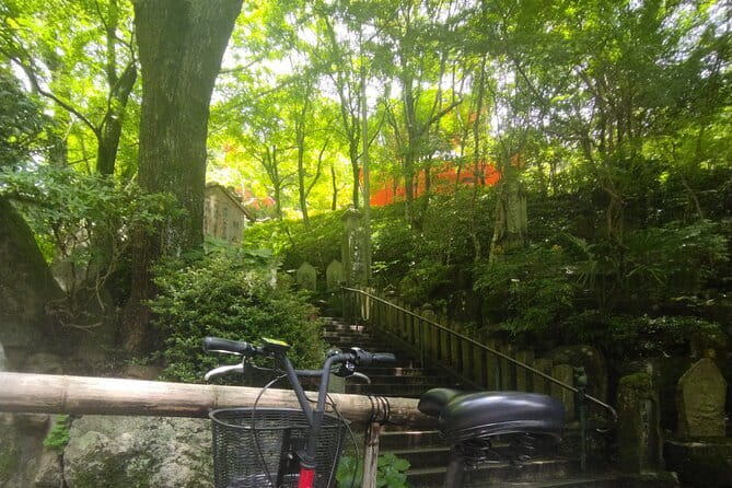 Hiroshima Scenic Cycling Guided Tour - Electric-assisted biking that still feels hands-on
