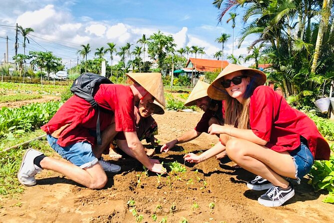 Hoi An bicycle tour to beautiful countryside - Bikes, pace, and photo time on flat roads