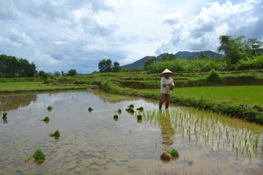 Hoi An Countryside Bicycle Tour : 25 Km Real Vietnam - Meeting point and the early rhythm of the day