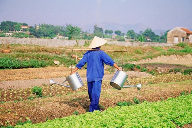 Hoi An countryside cycling tour - Key things to know before you go