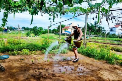 Hoi An countryside cycling tour - Tra Que Vegetable Village: herbs, vegetables, and hands-on farm life
