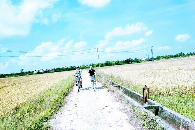 Hoi An countryside cycling tour - Bikes, timing, and group size: what to expect in the real world