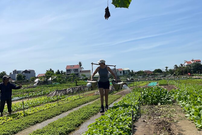 Hoi An countryside cycling Tour,Basket Boat-organic farming-lunch - Stop 1: Tra Que vegetable village and how herbs drive the flavors