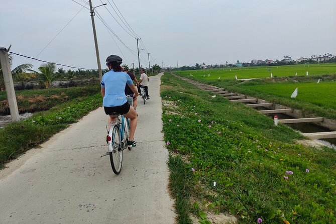 Hoi An Half-Day Bicycle Tour: Visit Herb Village, Row Basket Boat - Key things you’ll notice on this Hoi An cycling day