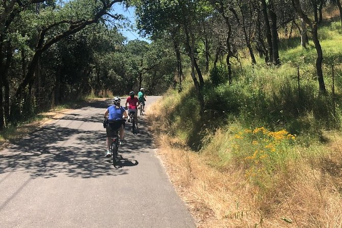 Independent Hassle-free Bike Rental in Sonoma - Your Bike and Gear Setup: What You Get, What It Means