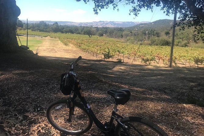 Independent Hassle-free Bike Rental in Sonoma - The Local Guide Touch: Routes, Maps, and What Not to Ride