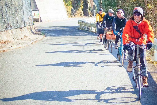 Iya Valley BROMPTON Slow Cycling Tour - Stop 2: Iyakei Valley for Seasonal Views and Easy Rolling