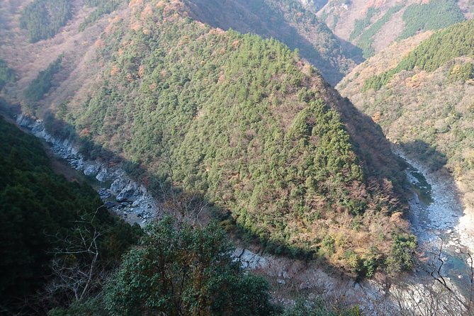Iya Valley BROMPTON Slow Cycling Tour - What You’ll Actually Do From Start to Finish