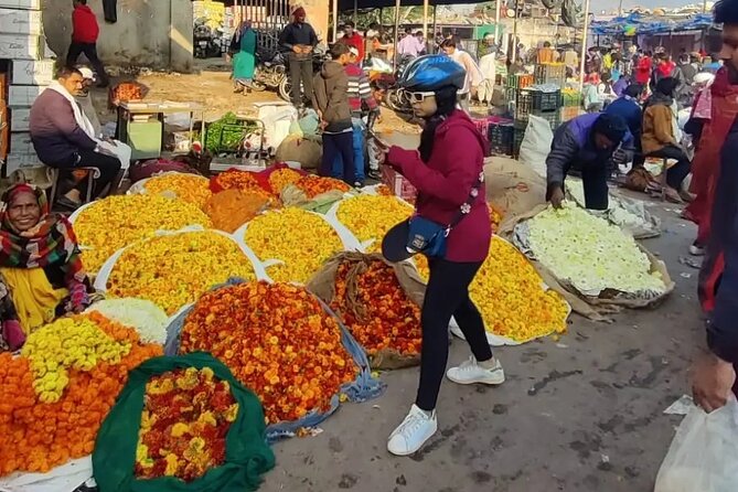 Jaipur Cultural Cycling Tour - Getting started at Bikepacking India (and what it means for your day)