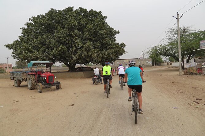 Jaipur Village Cycling Safari - Kalighati valley off-road riding: where the day starts to feel real