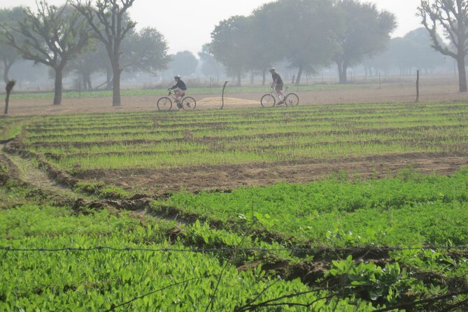 Jaipur Village Cycling Safari - Timing, support, and what 6 hours really means on a bike