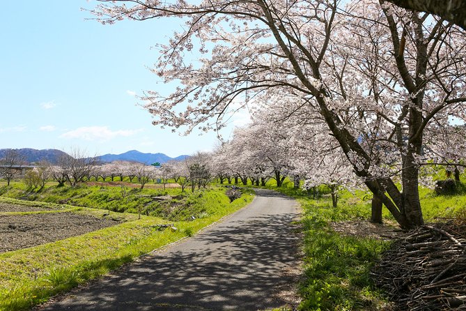 Japan's Rural Life & Nature: Private Half Day Cycling Near Kyoto - From Kyoto to Maibara: The Shinkansen Jump That Saves Your Day