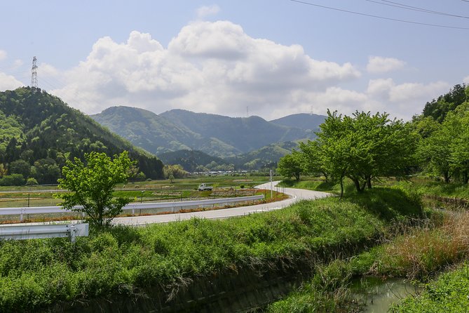 Japan's Rural Life & Nature: Private Half Day Cycling Near Kyoto - The Farm Area That Used to Be a Lake: Why the Rice Fields Matter