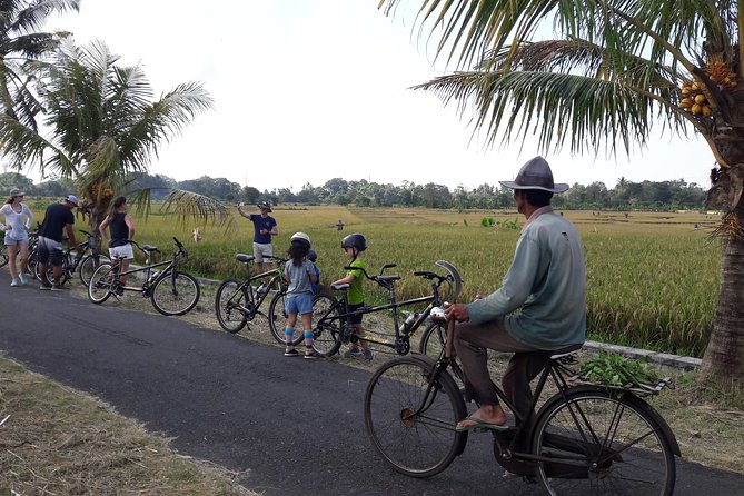 Kaba Kaba Reason for Harmony Cycling - Key highlights you’ll care about before you go