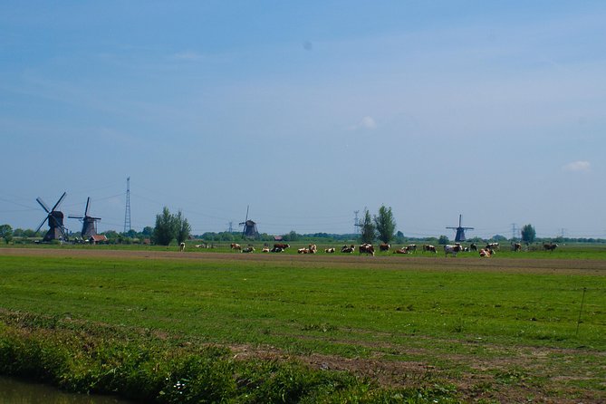 Kinderdijk Area Cycling Tour - Who this tour fits best (and what to bring)