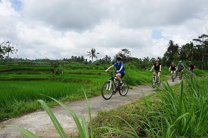 Kintamani Cultural and Nature Cycling Tour ( Manual Bike ) - Tegallalang photo stop: quick terraces, no big detours