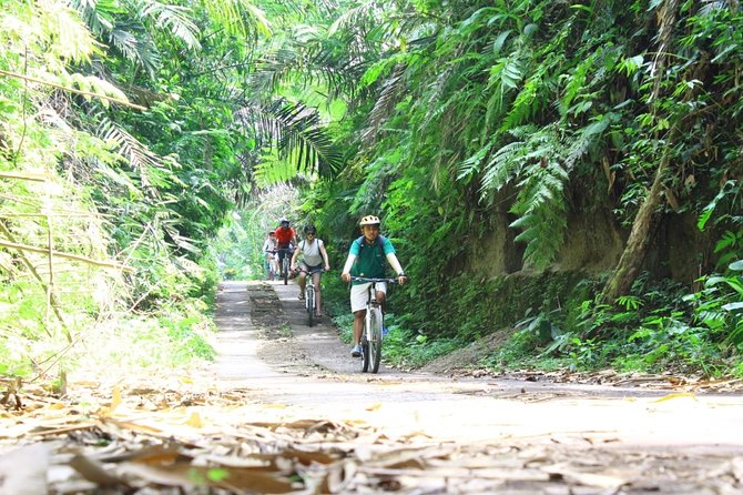 Kintamani Cultural and Nature Cycling Tour ( Manual Bike ) - Payangan finish at Hyang Api Temple, plus the Greenkubu lunch setup