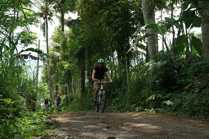 Kintamani Cultural and Nature Cycling Tour ( Manual Bike ) - Timing and flow: a long day that stays manageable
