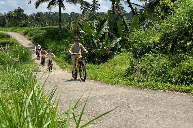Kintamani Down Hill Cycling - The downhill biking: rice paddies, villages, and a light effort