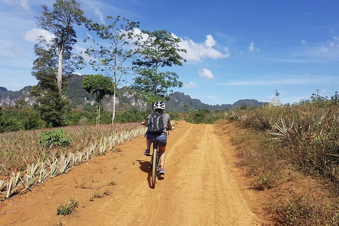 Krabi Countryside Eco Cycling Tour - Multiple Trails - Group Size, Bikes, and Comfort: What You’re Really Riding