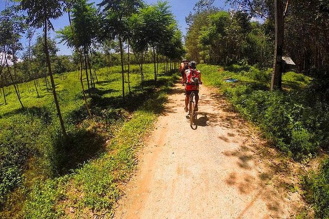 Krabi Countryside Eco Cycling Tour - Multiple Trails - Stop by Stop: Khao Ngon Nak, Emerald Pool, Ko Klang, Thapom Klong Song Nam