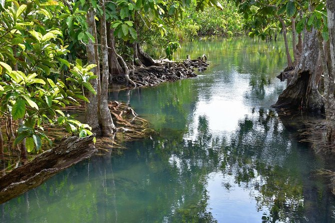 Krabi Countryside Eco Cycling Tour - Multiple Trails - Heat, Water, and Safety Tips That Actually Matter