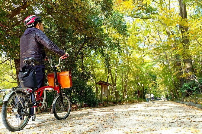 Kyoto: Higashiyama Slow Cycling Tour along the quiet waterfront - Weather and fitness: the two real constraints