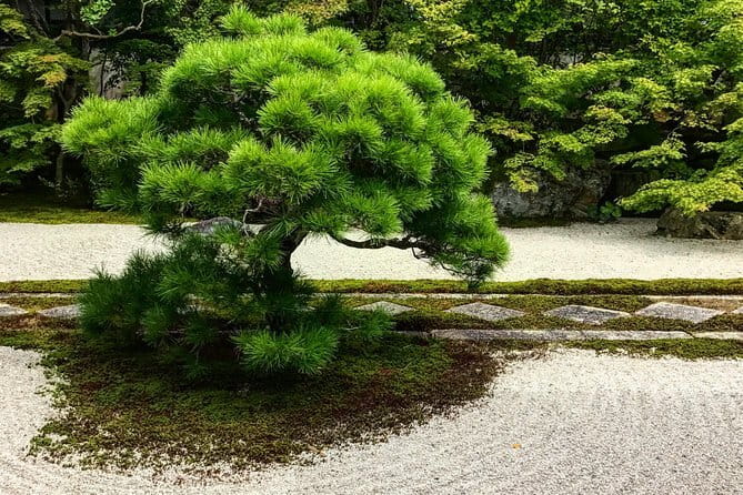 Kyoto: Higashiyama Slow Cycling Tour along the quiet waterfront - Should you book it?