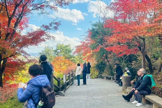 Kyoto Satoyama Cycling with Lunch and English guide - Price and Value: Is $97.55 Worth It?