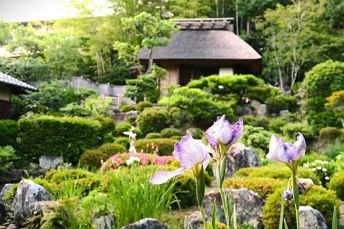 Kyoto Shogun Cycling Tour - The Ride Plan: Easy Downhill Cycling That Still Feels Like Kyoto