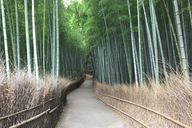 Kyoto Shogun Cycling Tour - Stop 3: Nijo Castle Grounds and the Late Shogun Turning Point