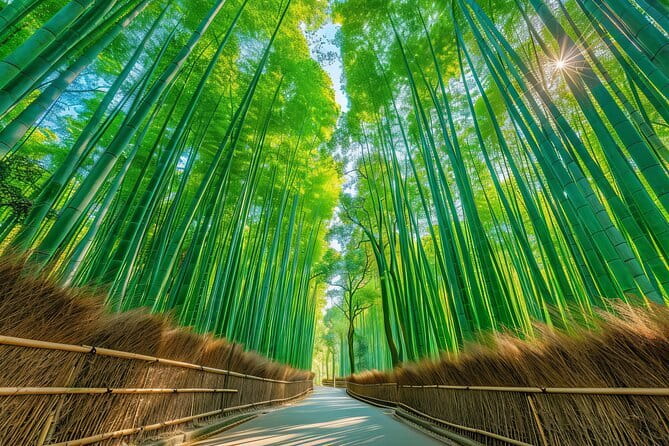 Kyoto Shogun Cycling Tour - Who Should Book This Tour (and Who Might Think Twice)