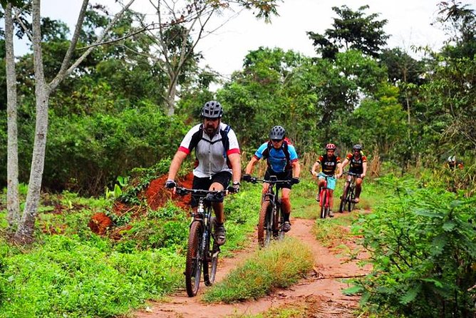 Lake Victoria Island Cycling Tour from Kampala - Cycling Away From Kampala to Lake Victoria’s Quiet Roads