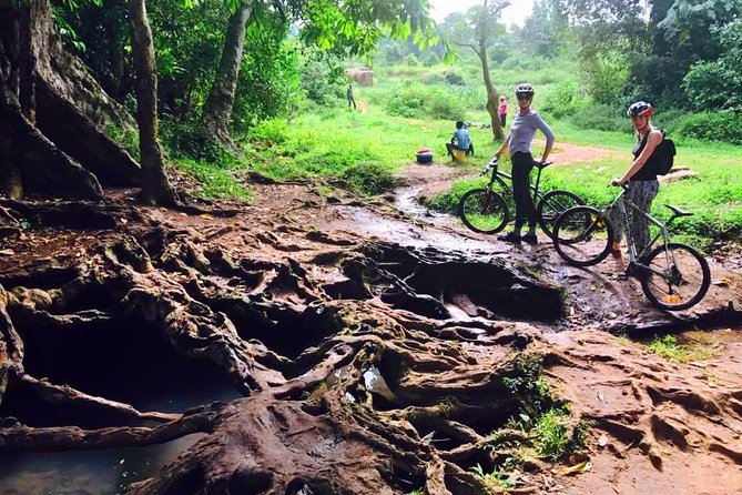 Lake Victoria Island Cycling Tour from Kampala - Mabamba Swamp and Shoebills: The Bird-Time Option (and the Cost Detail)