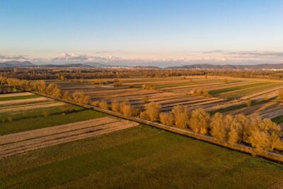 Ljubljana's Marshes Cycling Tour - Ljubljana Marshes Natural Reserve: Flat Riding With Wildlife Energy