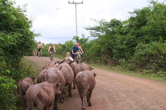 Luang Prabang Mountain Bike Cycling Tour - Pak Ou Caves: the boat moment that breaks up the cycling day