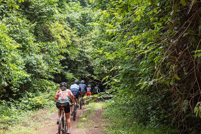 Ma Da Jungle Cycling Adventure - Key things to know before you go