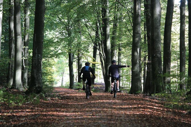 Malmo Bike Rental - Key Highlights at a Glance