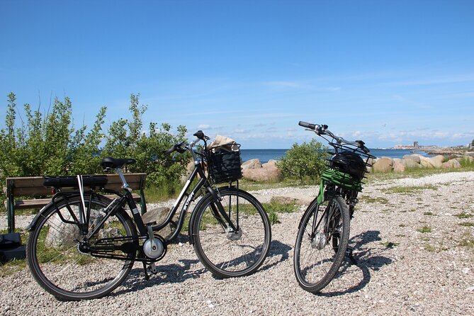 Malmo Bike Rental - How Many People, and What That Means for Your Day