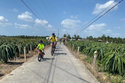 Mekong Delta 2 days 1 nights Cycling Trip - Coconut-tree lanes, then the Mekong ferry crossing