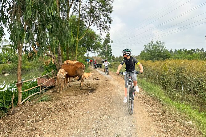 Mekong Delta 2 days 1 nights Cycling Trip - Day two starts with a boat ride to Coconut Island