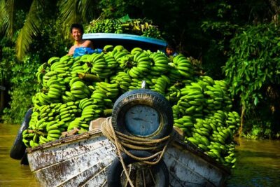 Mekong Delta Tour with Kayaking, Cycling and Cooking - Cycling at the Family Garden: Orchards, Dragon Fruit, and Rice Fields