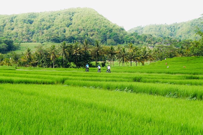 Menoreh Village Cycling - Price and What Your $22 Covers (Bike, Guide, Food, Donation)