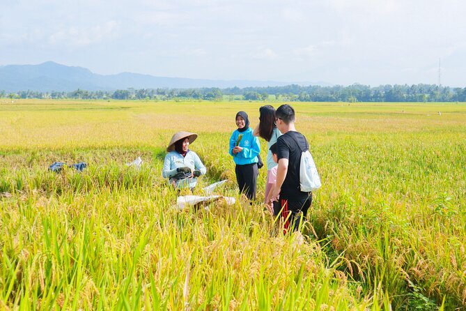 Menoreh Village Cycling - The Food Moment: Tempe Benguk, Fried Tofu, and Jamu