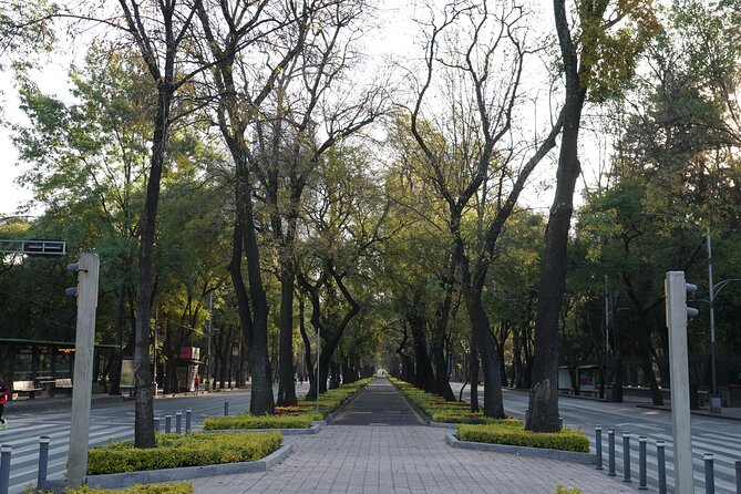 Mexico City: 19 City Highlights Bicycle Tour - Guides, safety, and the photo-video trick that makes this feel personal