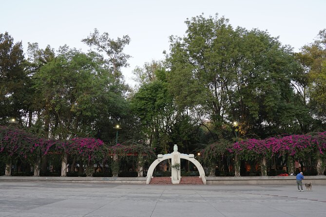 Mexico City: 19 City Highlights Bicycle Tour - Sunday in CDMX: why the streets can make the experience easier