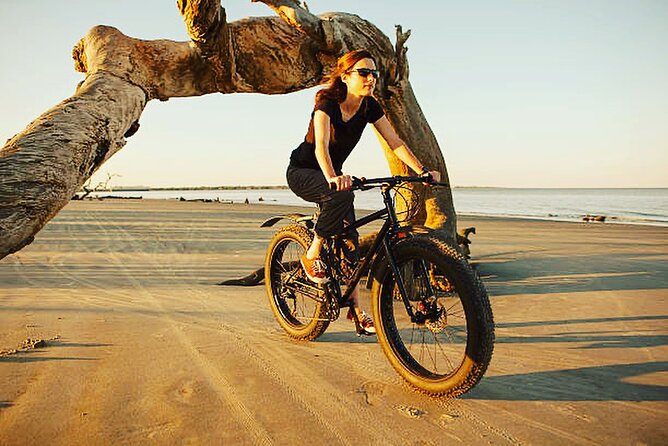 Mountain bike rental in Camargue - Key highlights you should know before you go