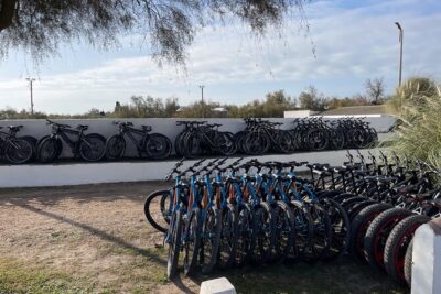 Mountain bike rental in Camargue - First stop: Parc Naturel Régional de Camargue and what you’ll do there